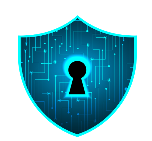 Privacy Icon